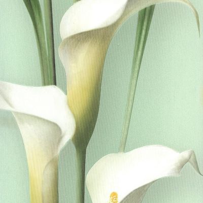 Обои Gorgona 54139-4