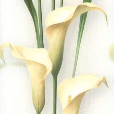 Обои Gorgona 54139-3