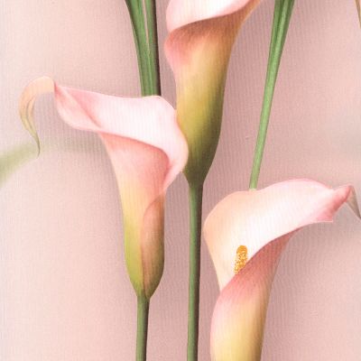 Обои Gorgona 54139-8