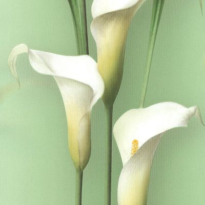 Обои Gorgona 54139-5