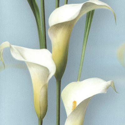 Обои Gorgona 54139-7